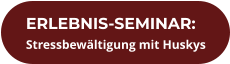 ERLEBNIS-SEMINAR: Stressbewältigung mit Huskys