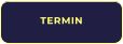 TERMIN