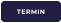 TERMIN