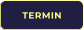 TERMIN