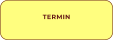 TERMIN